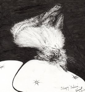 スリーピーベリーナ、2015年（紙にインク） 作： Vincent Alexander Booth